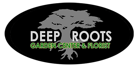 Deep Roots - Bronze Friend of the Fair